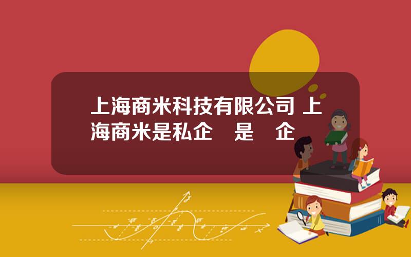 上海商米科技有限公司 上海商米是私企還是國企